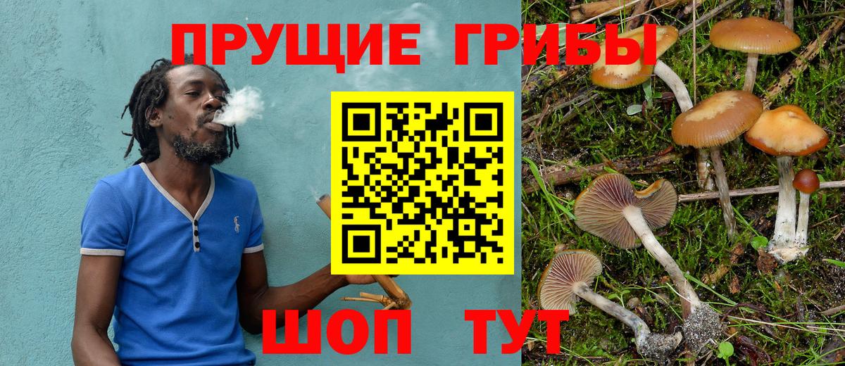 Вольск  Галлюциногенные грибы Psilocybe  Вход с VPN 